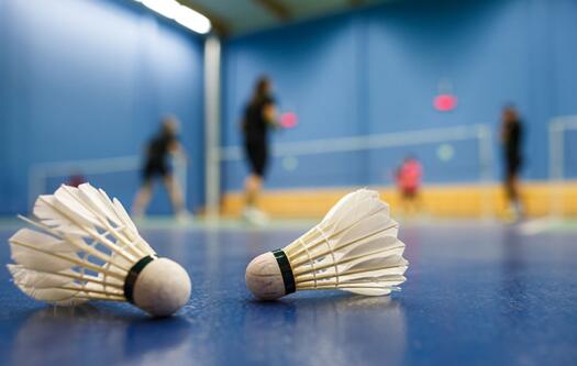 球盟会羽毛球指导中心