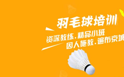 球盟会羽毛球指导