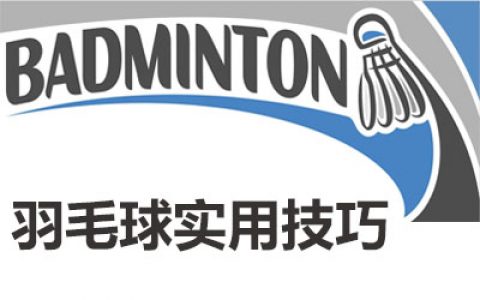 综合实用的羽毛球技巧（二）